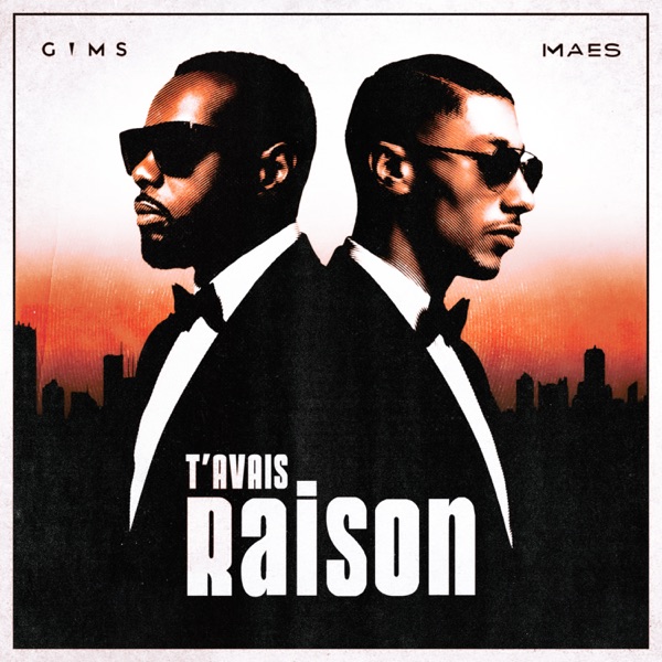 T'avais raison - Single