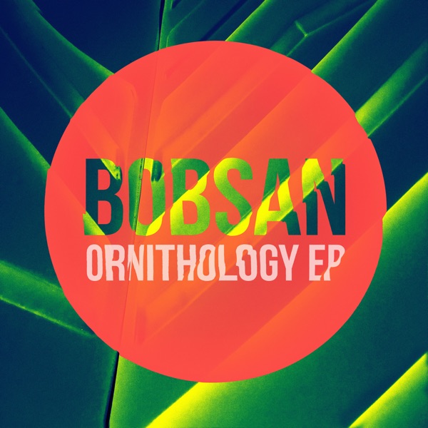 Ornithology - Single