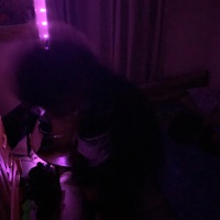 Solo - Single - jdotkeepclickinn