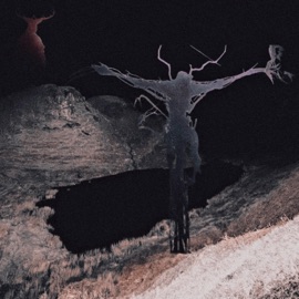 This Whole World Is Nothing NEET