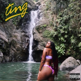 Ting (feat. Mafi) [Remix] Sydney D.