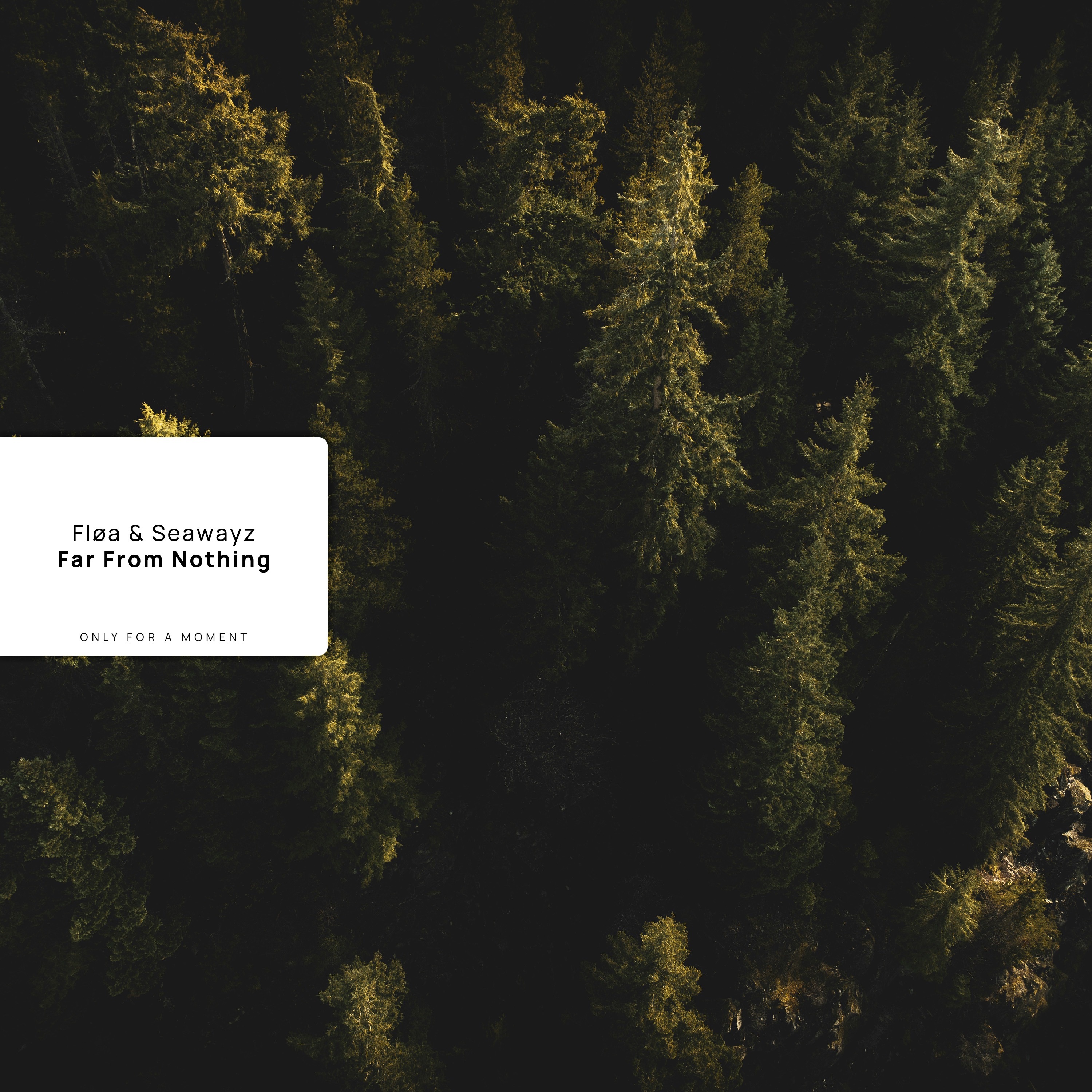 Far from Nothing - Single