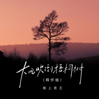 大风吹倒梧桐树 (释怀版) - Single - 坡上老王