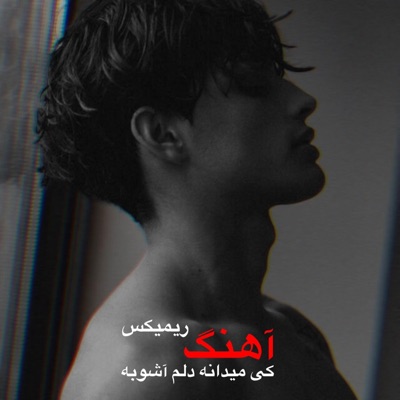 Farsi Nava - ریمیکس معروف کی میدانه دلم آشوبه من میگم حالم خوبه