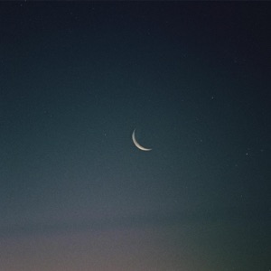 Daisies - EP
