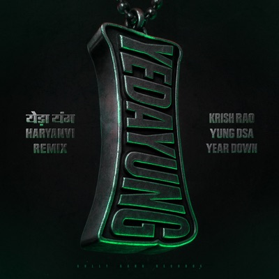 YEDA YUNG (Haryanvi Remix) - Single
