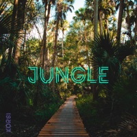 Jungle - Single - Korsi
