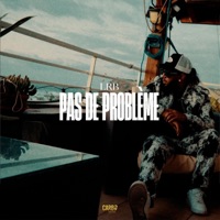 PROBLEME - Single - LRB490