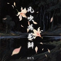 风吹落花瓣 - Single - 顾叮当