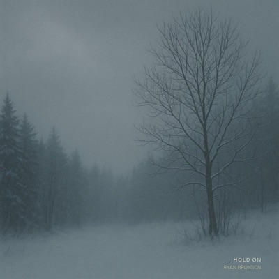 Hold On - Single