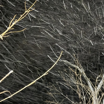 Glass House. - Single