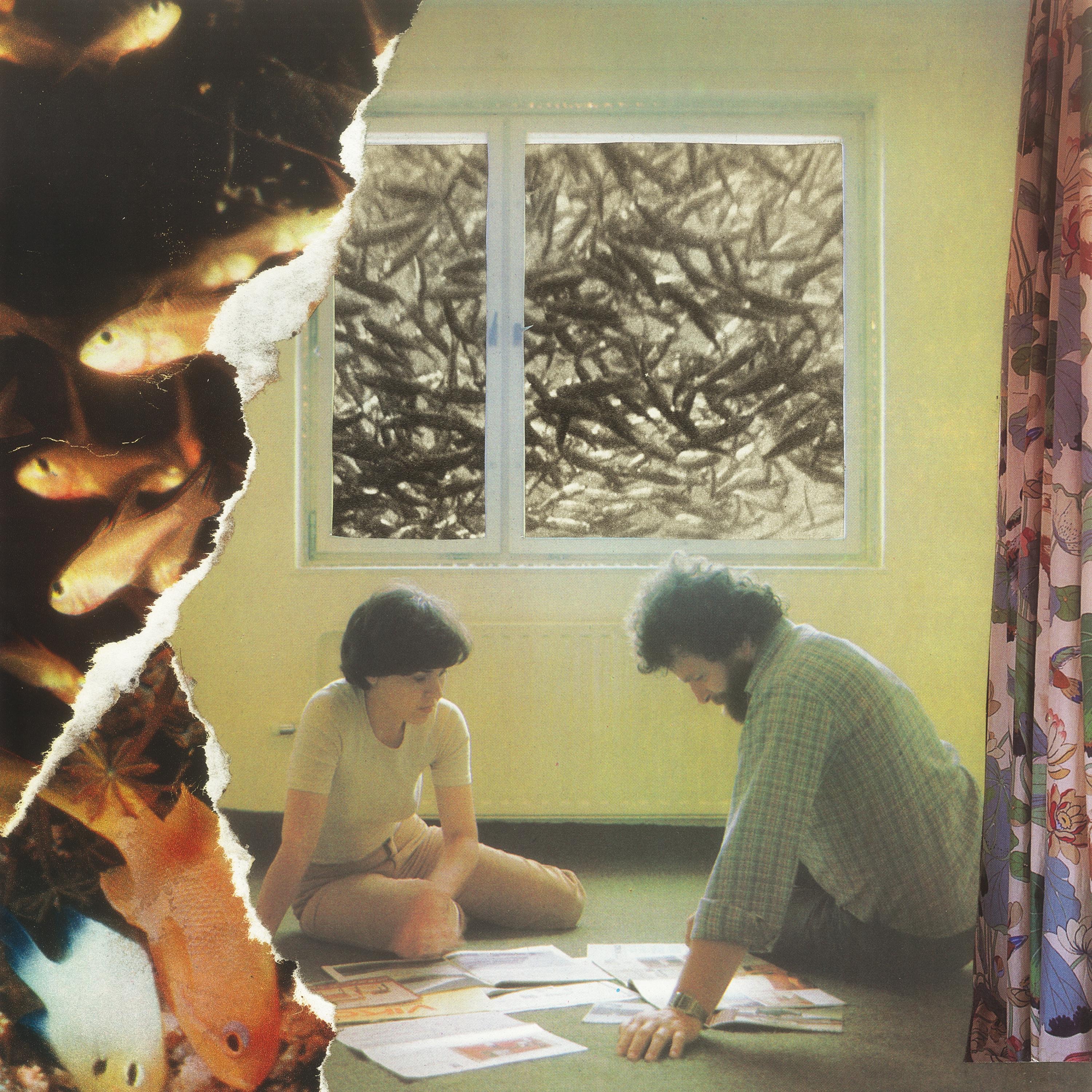 Akvarijní rybičky - Single