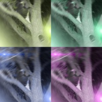 Nmbrone - Single - Chief Lee