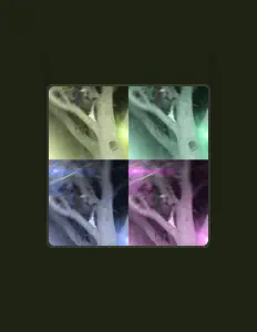 Listen to Chief Lee, watch music videos, read bio, see tour dates & more!