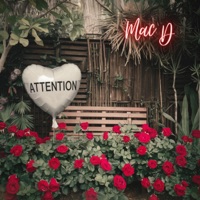 Attention - Single - MAC D