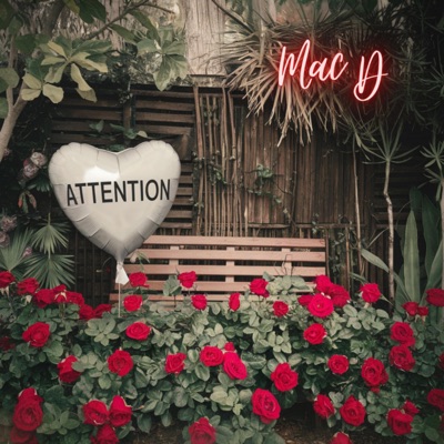 Attention - Single