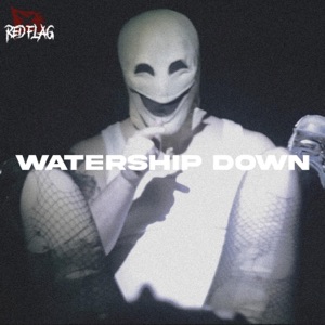 Watership Down (feat. Aka-Dee & payZn)