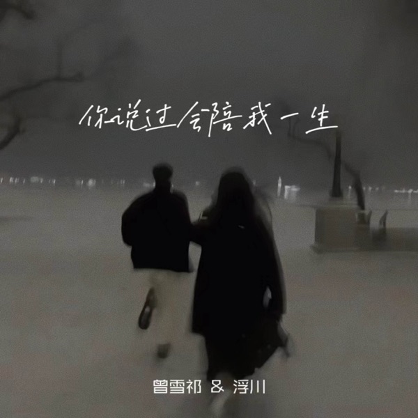 你说过会陪我一生 (with 浮川) - Single
