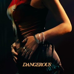 Dangerous - Single