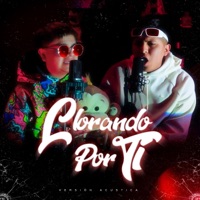 Llorando Por Ti (Versión Acústica) (feat. Cesitar Hockey) - Single - Aldama