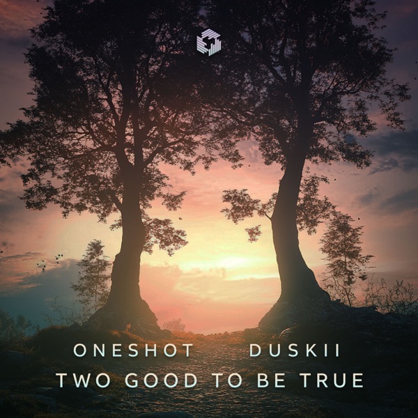 Two Good to Be True - Single