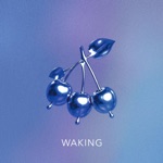 Waking - Single