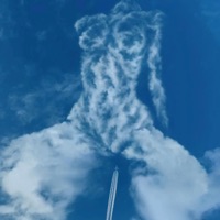 Tharos (feat. DjRio) - Single - Chalios MC