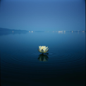 Yêu Em Giữa Đời Quên Lãng