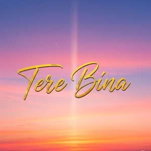 Tere Bina