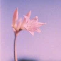 Pomodoro - Single - Ensecreto, JeanPatrick & Francisco Salas