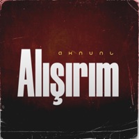 Alışırım - Single - AKNUNL