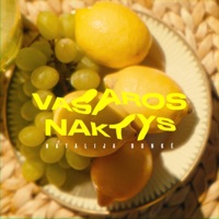 Vasaros naktys - Single - Natalija Bunke