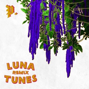 Milk and Honey (Luna Tunes Remix) - Single