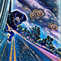 No Proof (feat. Freequency) - Single - T Young