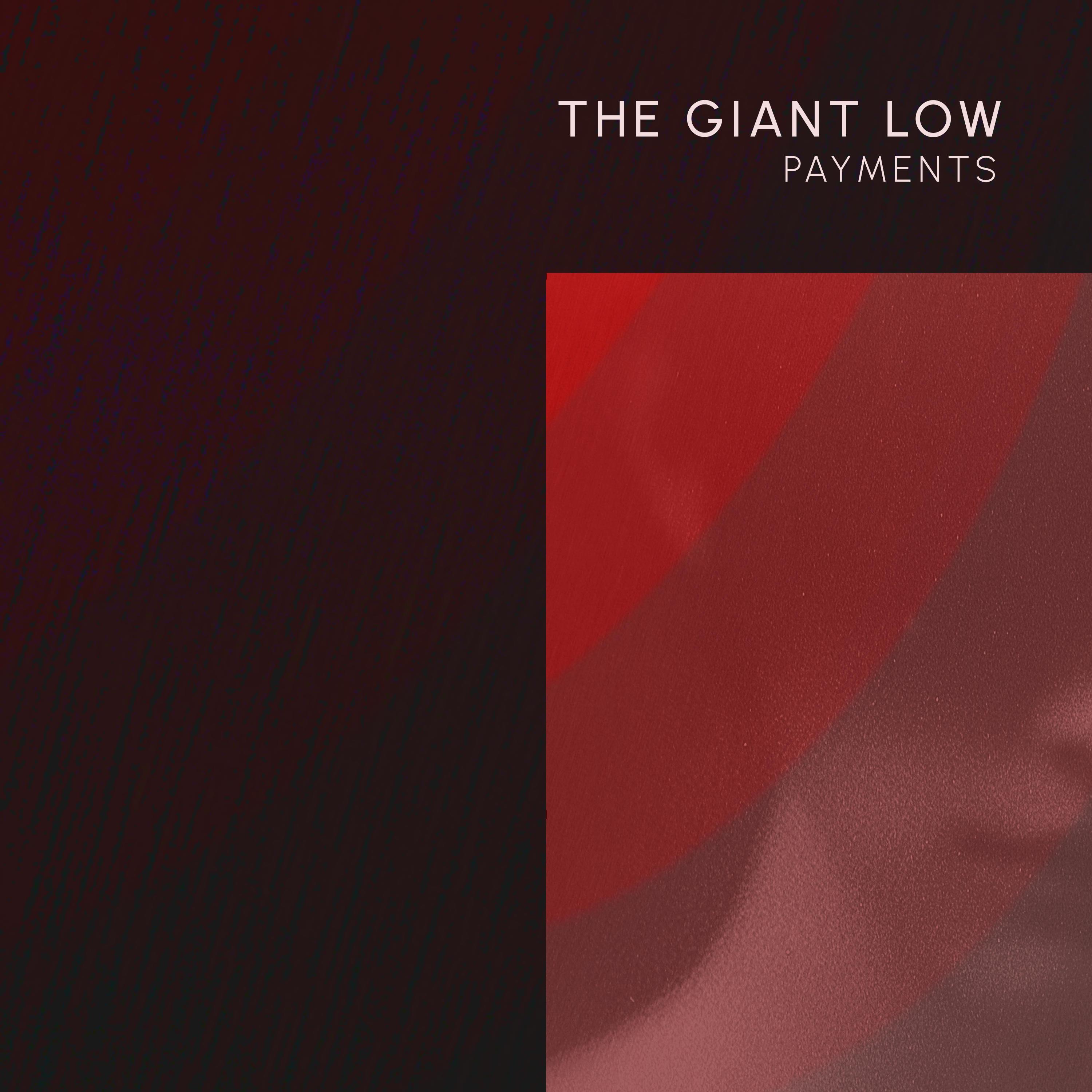 Payments - Single
