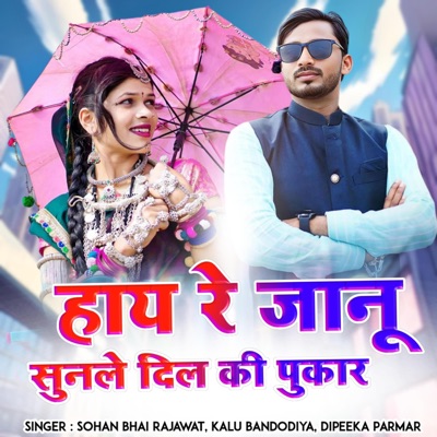 Hi Re Janu Sunle Dil Ki Pukar (feat. Kalu Bandodiya & Deepika Parmar) - Single