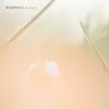 Dream Winds