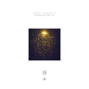 Butterfly In A Jar (II - IV) - Single