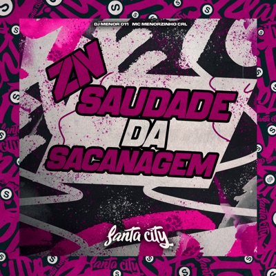 Zn Saudade da Sacanagem - Single