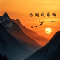 感谢我爸妈 - Single - 林施