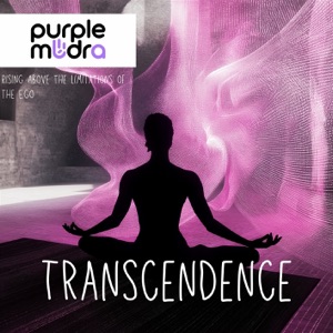 Transcendence: Rising Above the Limitations of the Ego