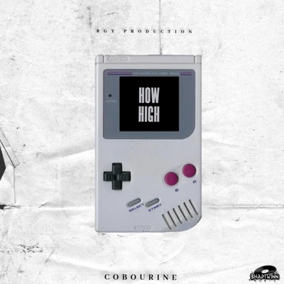 HOW HIGH (Radio Edit) - Single