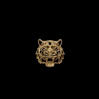 DEJA EL TIGUERAJE - Single - Naico Roc
