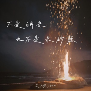 不是白月光也不是朱砂痣 - Single