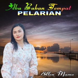 Aku Bukan Tempat Pelarian Album Art