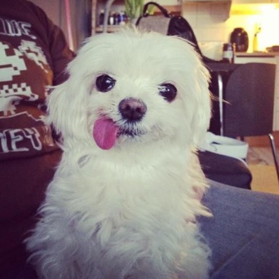 OMG! (demo) - Single