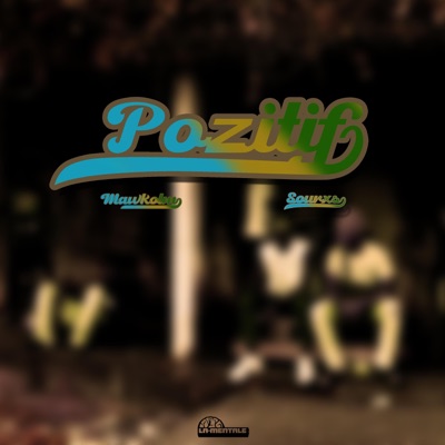 POZITIF (feat. Sourx's Vermine's) - Single