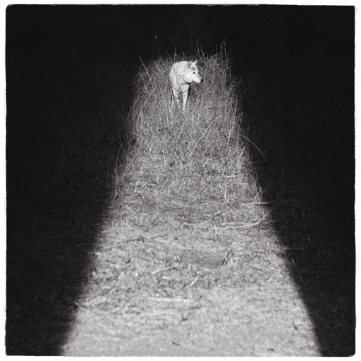 Album artwork