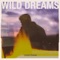 Wild Dreams artwork