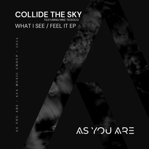 What I See / Feel It (feat. Mike Tedesco) - EP